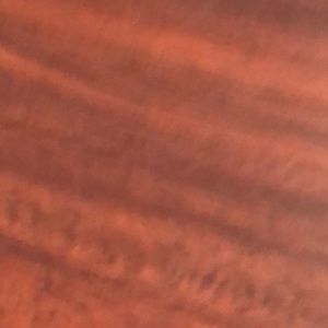 Meet your Posher, Lucy